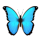 Butterfly Emoji