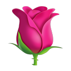 Pink Rose Emoji